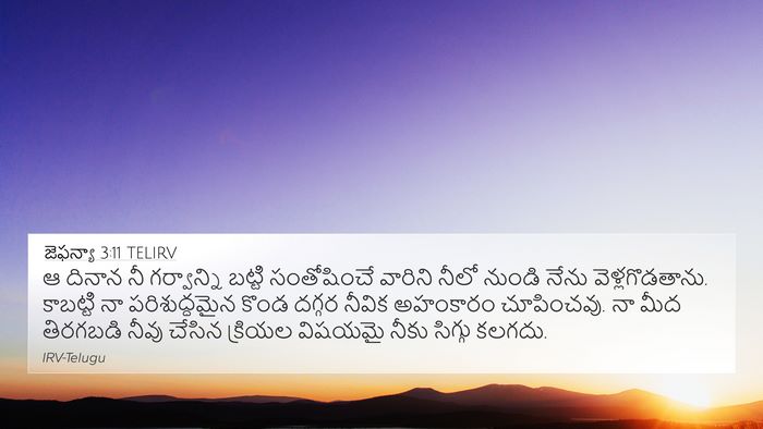 జెఫన్యా 3:11 TELIRV Bible Verse Image