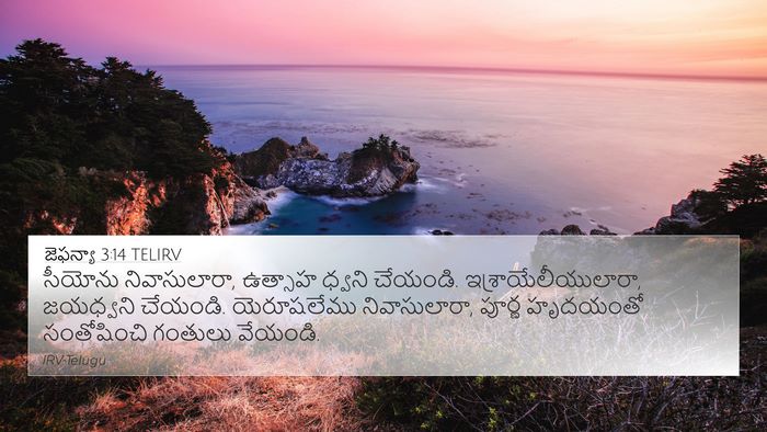 జెఫన్యా 3:14 TELIRV Bible Verse Image