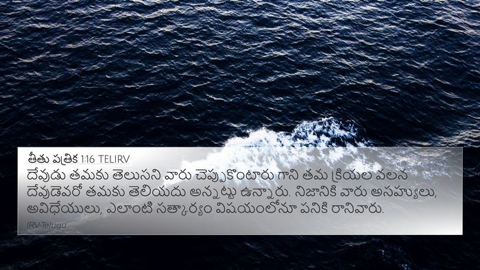 తీతు పత్రిక 1:16 TELIRV Bible Verse Image