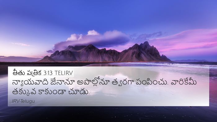 తీతు పత్రిక 3:13 TELIRV Bible Verse Image