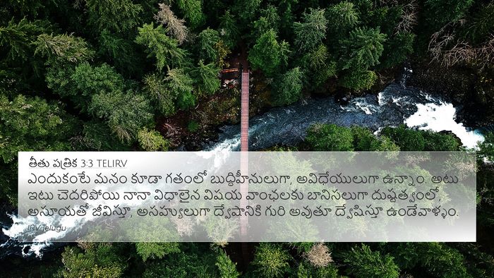 తీతు పత్రిక 3:3 TELIRV Bible Verse Image