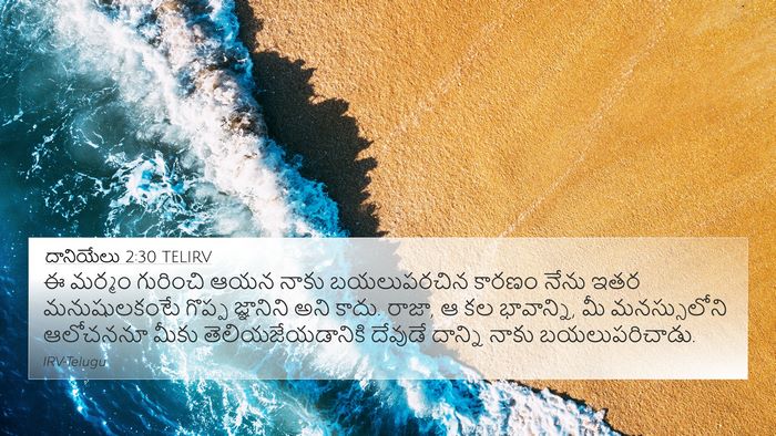 దానియేలు 2:30 TELIRV Bible Verse Image