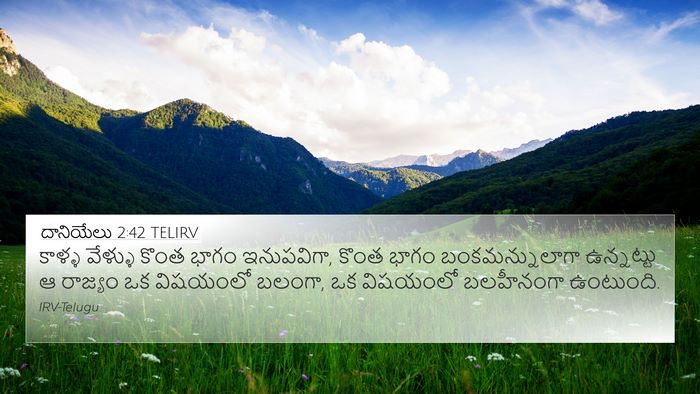దానియేలు 2:42 TELIRV 4K Wallpaper - కాళ్ళ వేళ్ళు కొంత - 4K Wallpaper Bible Verse