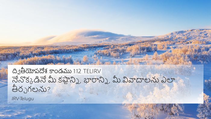 ద్వితీయోపదేశ కాండము 1:12 TELIRV Bible Verse Image