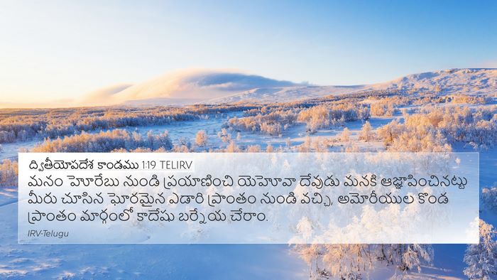 ద్వితీయోపదేశ కాండము 1:19 TELIRV Bible Verse Image