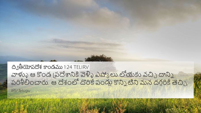 ద్వితీయోపదేశ కాండము 1:24 TELIRV Bible Verse Image