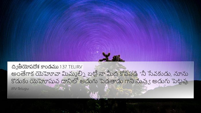 ద్వితీయోపదేశ కాండము 1:37 TELIRV Bible Verse Image