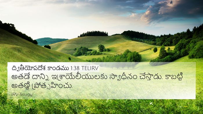ద్వితీయోపదేశ కాండము 1:38 TELIRV Bible Verse Image