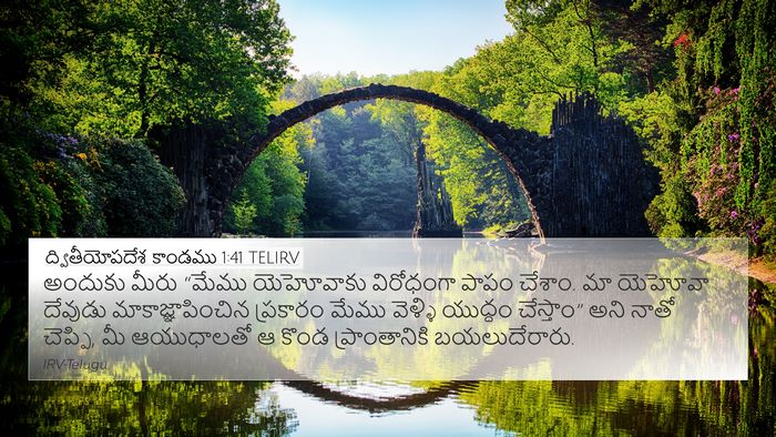 ద్వితీయోపదేశ కాండము 1:41 TELIRV Bible Verse Image