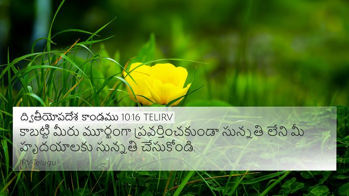 ద్వితీయోపదేశ కాండము 10:16 TELIRV Bible Verse Image