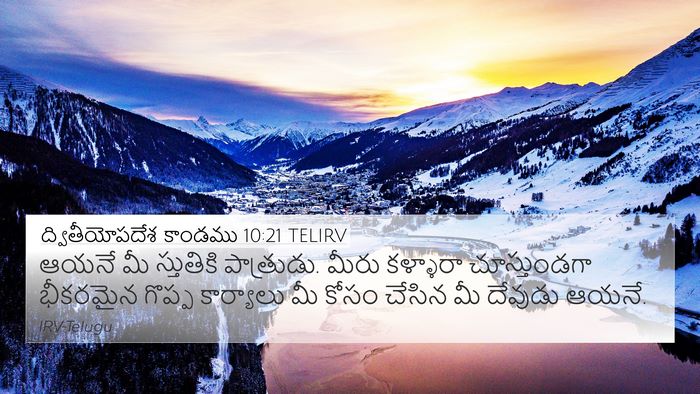 ద్వితీయోపదేశ కాండము 10:21 TELIRV Bible Verse Image