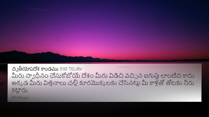 ద్వితీయోపదేశ కాండము 11:10 TELIRV Bible Verse Image