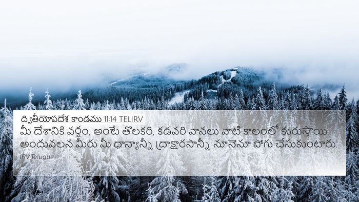 ద్వితీయోపదేశ కాండము 11:14 TELIRV Bible Verse Image