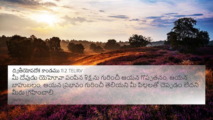 ద్వితీయోపదేశ కాండము 11:2 TELIRV Bible Verse Image