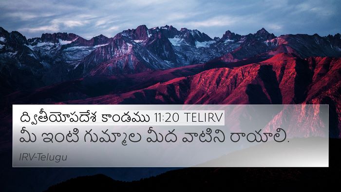 ద్వితీయోపదేశ కాండము 11:20 TELIRV 4K Wallpaper - మీ ఇంటి గుమ్మాల - 4K Wallpaper Bible Verse