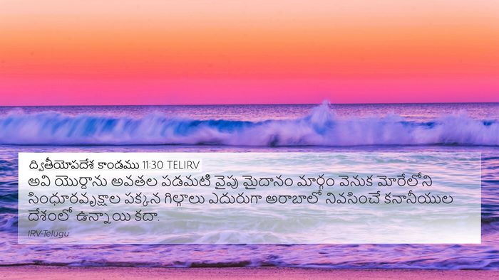 ద్వితీయోపదేశ కాండము 11:30 TELIRV Bible Verse Image