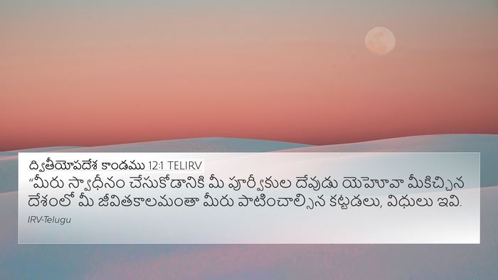 ద్వితీయోపదేశ కాండము 12:1 TELIRV Bible Verse Image
