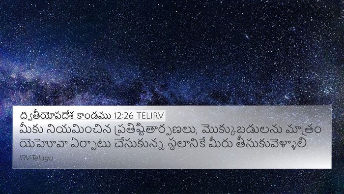 ద్వితీయోపదేశ కాండము 12:26 TELIRV Bible Verse Image