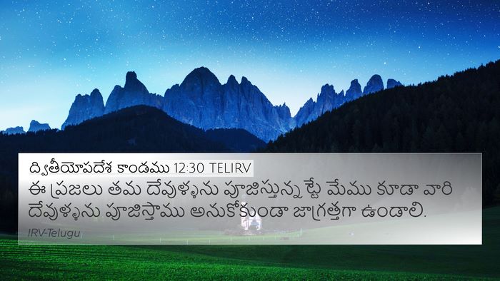 ద్వితీయోపదేశ కాండము 12:30 TELIRV Bible Verse Image