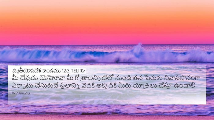 ద్వితీయోపదేశ కాండము 12:5 TELIRV Bible Verse Image