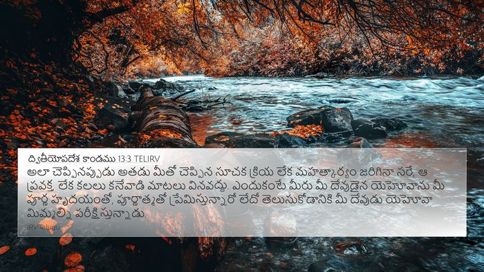 ద్వితీయోపదేశ కాండము 13:3 TELIRV Bible Verse Image