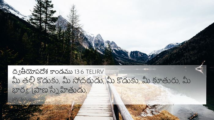 ద్వితీయోపదేశ కాండము 13:6 TELIRV Bible Verse Image