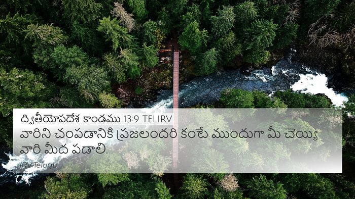 ద్వితీయోపదేశ కాండము 13:9 TELIRV Bible Verse Image