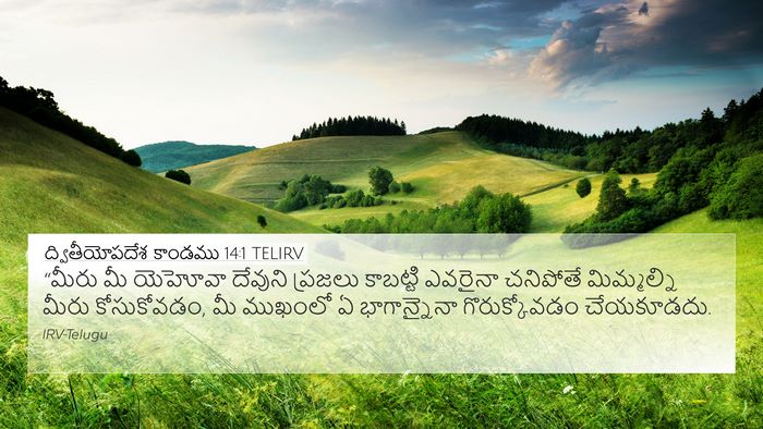 ద్వితీయోపదేశ కాండము 14:1 TELIRV Bible Verse Image
