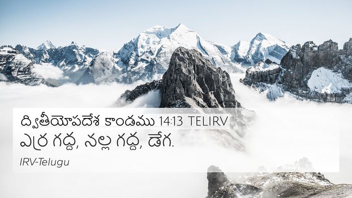 ద్వితీయోపదేశ కాండము 14:13 TELIRV 4K Wallpaper - ఎర్ర గద్ద, నల్ల - 4K Wallpaper Bible Verse