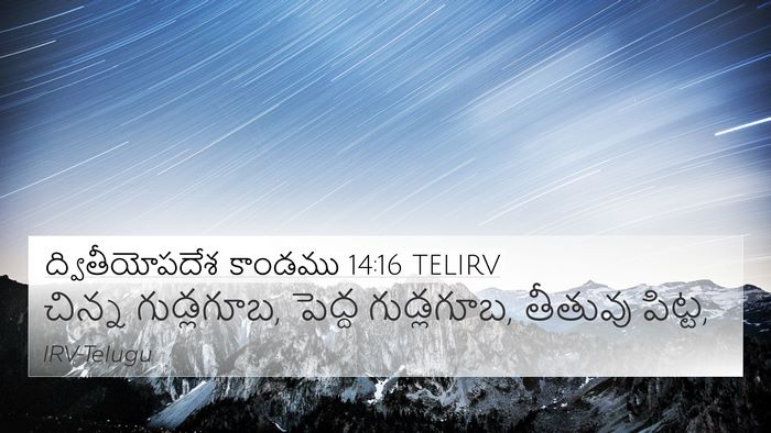 ద్వితీయోపదేశ కాండము 14:16 TELIRV 4K Wallpaper - చిన్న గుడ్లగూబ, - 4K Wallpaper Bible Verse