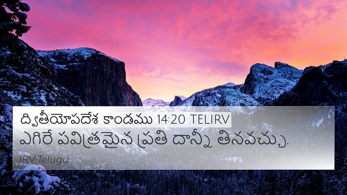 ద్వితీయోపదేశ కాండము 14:20 TELIRV 4K Wallpaper - ఎగిరే పవిత్రమైన - 4K Wallpaper Bible Verse