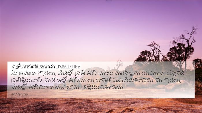 ద్వితీయోపదేశ కాండము 15:19 TELIRV Bible Verse Image
