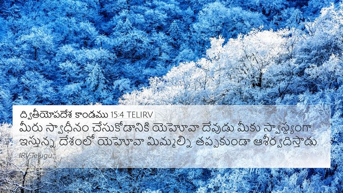 ద్వితీయోపదేశ కాండము 15:4 TELIRV Bible Verse Image