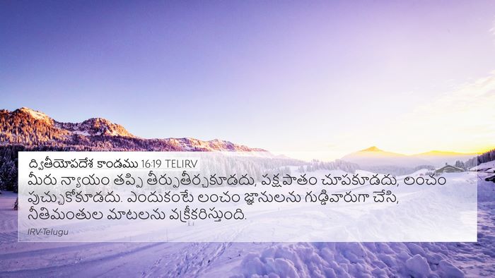 ద్వితీయోపదేశ కాండము 16:19 TELIRV Bible Verse Image
