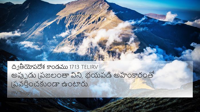 ద్వితీయోపదేశ కాండము 17:13 TELIRV Bible Verse Image