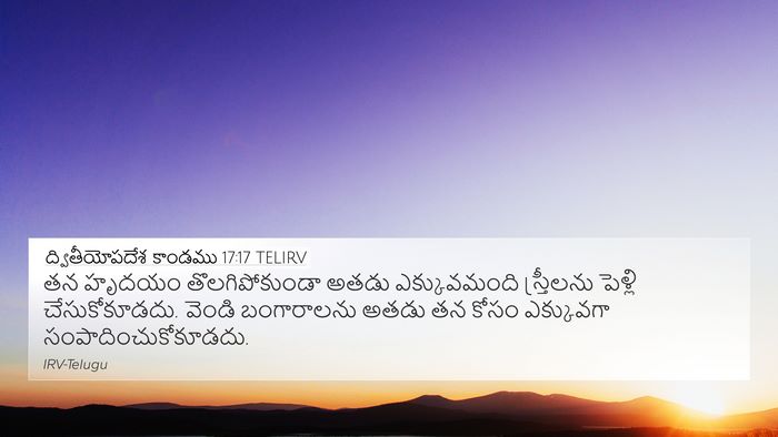 ద్వితీయోపదేశ కాండము 17:17 TELIRV Bible Verse Image