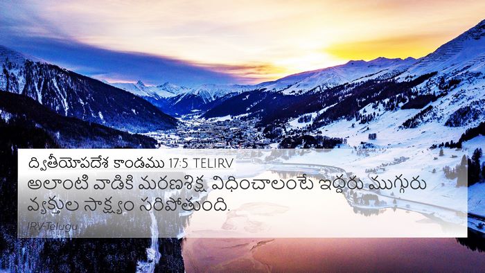 ద్వితీయోపదేశ కాండము 17:5 TELIRV Bible Verse Image