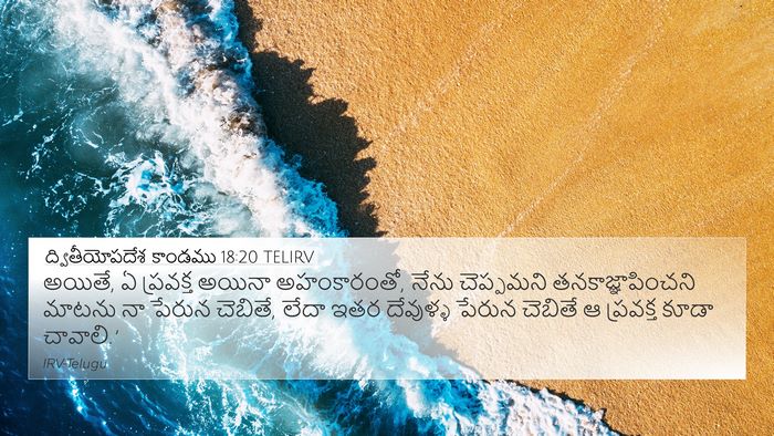 ద్వితీయోపదేశ కాండము 18:20 TELIRV Bible Verse Image