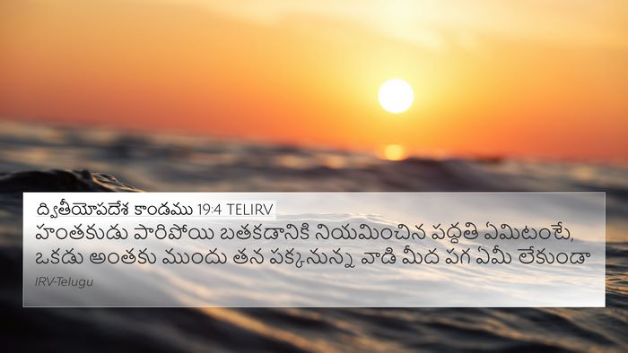 ద్వితీయోపదేశ కాండము 19:4 TELIRV Bible Verse Image