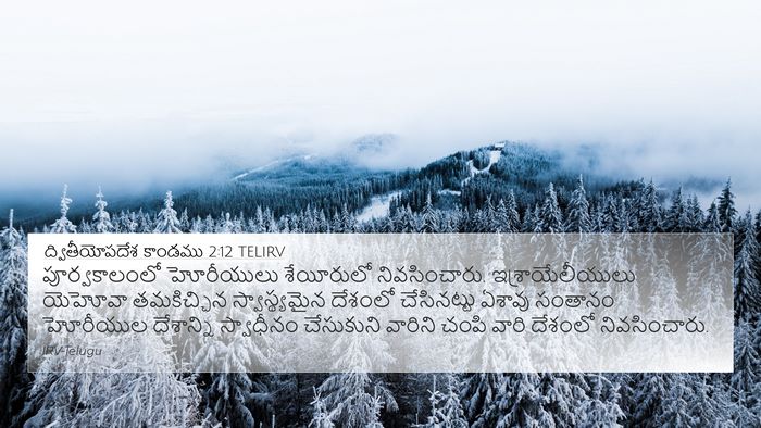 ద్వితీయోపదేశ కాండము 2:12 TELIRV Bible Verse Image