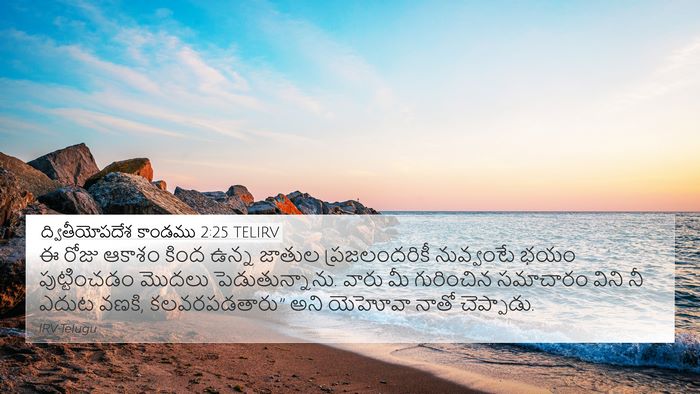 ద్వితీయోపదేశ కాండము 2:25 TELIRV Bible Verse Image