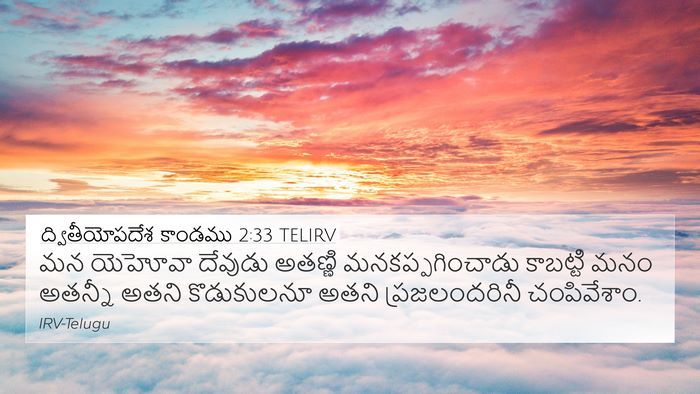 ద్వితీయోపదేశ కాండము 2:33 TELIRV Bible Verse Image