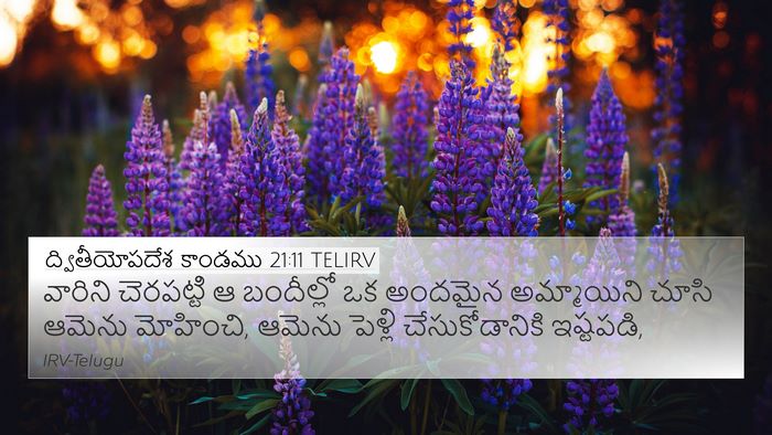ద్వితీయోపదేశ కాండము 21:11 TELIRV 4K Wallpaper - వారిని చెరపట్టి ఆ - 4K Wallpaper Bible Verse