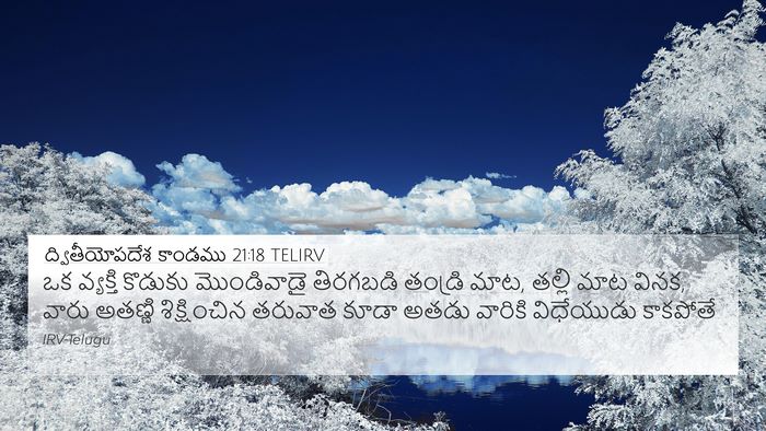ద్వితీయోపదేశ కాండము 21:18 TELIRV Bible Verse Image