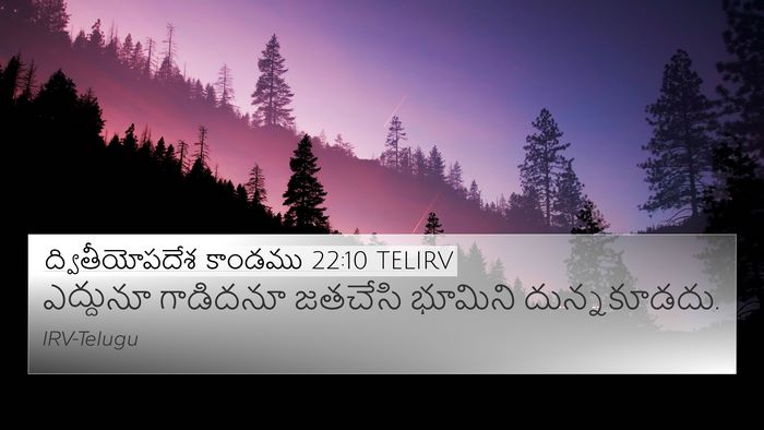 ద్వితీయోపదేశ కాండము 22:10 TELIRV 4K Wallpaper - ఎద్దునూ గాడిదనూ - 4K Wallpaper Bible Verse