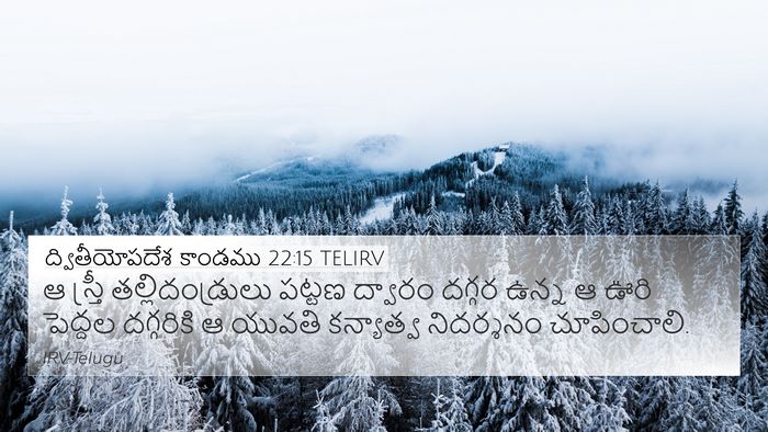 ద్వితీయోపదేశ కాండము 22:15 TELIRV 4K Wallpaper - ఆ స్త్రీ - 4K Wallpaper Bible Verse
