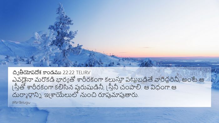 ద్వితీయోపదేశ కాండము 22:22 TELIRV Bible Verse Image