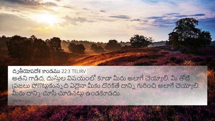 ద్వితీయోపదేశ కాండము 22:3 TELIRV 4K Wallpaper - అతని గాడిద, - 4K Wallpaper Bible Verse