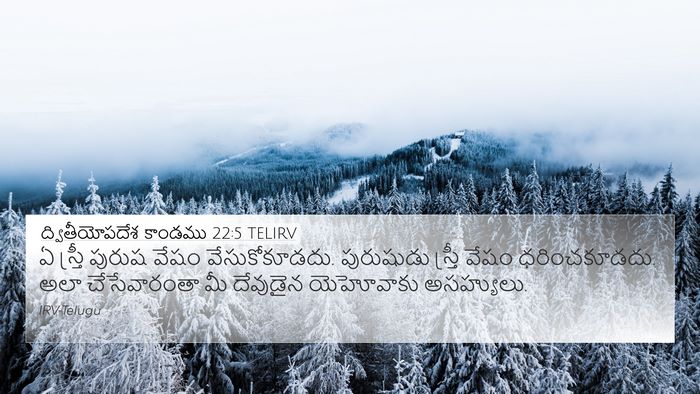 ద్వితీయోపదేశ కాండము 22:5 TELIRV 4K Wallpaper - ఏ స్త్రీ పురుష - 4K Wallpaper Bible Verse