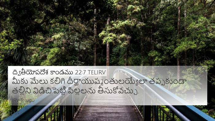 ద్వితీయోపదేశ కాండము 22:7 TELIRV 4K Wallpaper - మీకు మేలు కలిగి - 4K Wallpaper Bible Verse